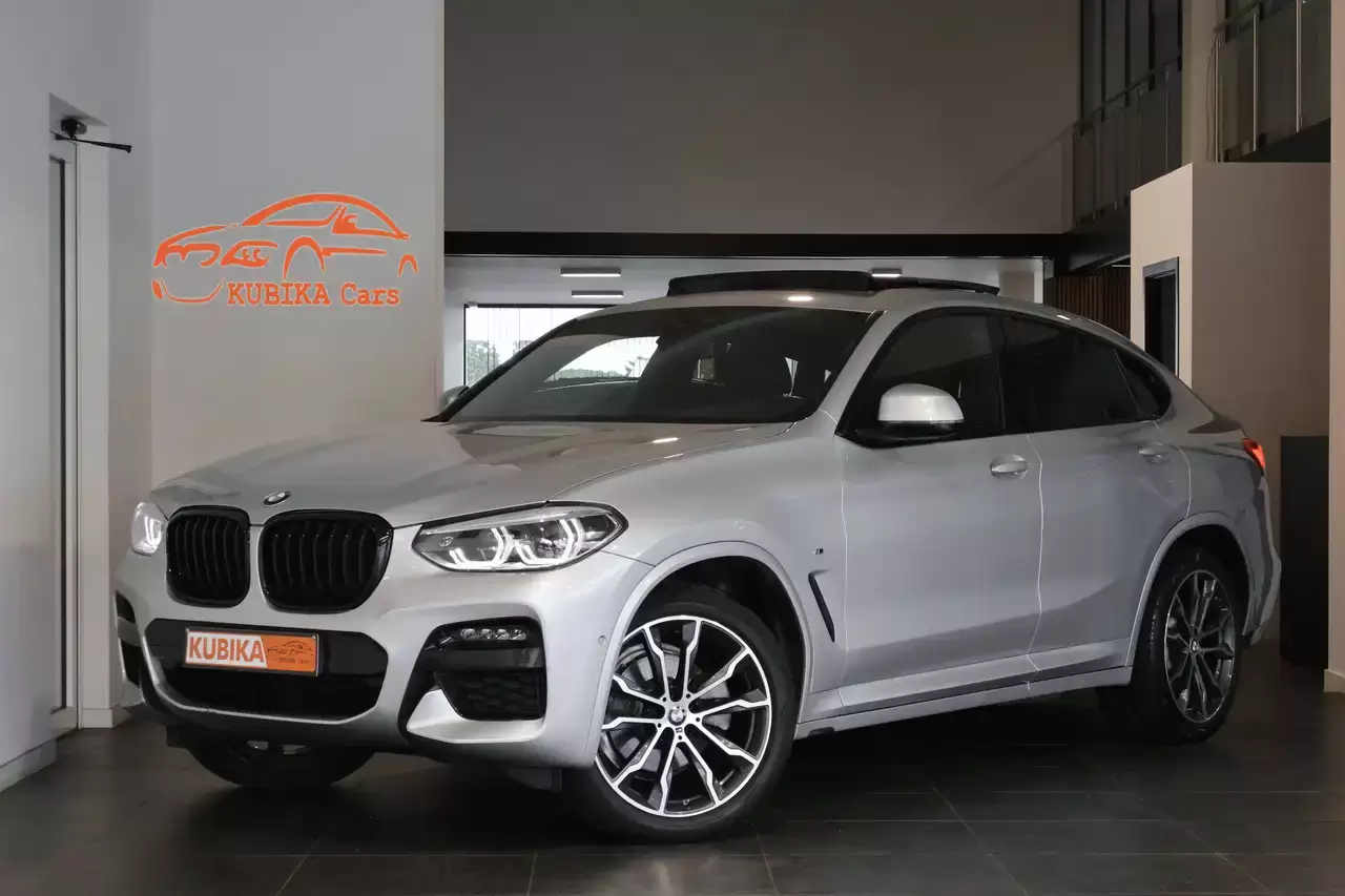 BMW X4 X4 2.0 dA xDrive20 M Pakket Opendak Keyless LED Garantie