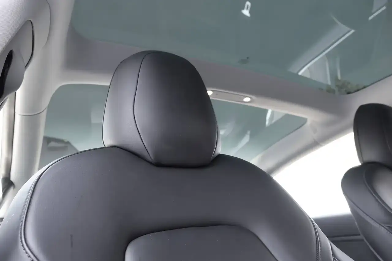 Tesla Model 3 Model 3 44 kWh Standard Plus Navi Camera Garantie*